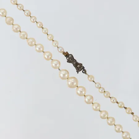 Pärlcollier med odlade saltvattenpärlor längd 48cm Ø3,6-7mm lås i silver med markasiter, pärlor med slitage/skador, behov av områdning.  Vikt: 0 g