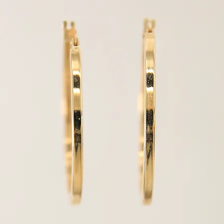 Ett par örhängen GHA Ø33mm 18K Vikt: 2,3 g