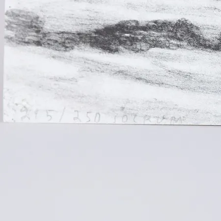 Bild av vara SE1.R87393