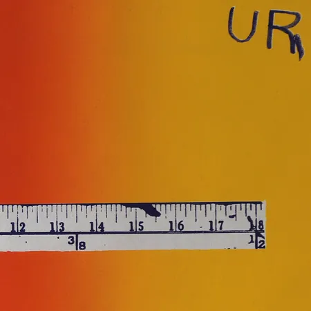 Tavla, Jasper Johns, Untitled (Shit), signerad och daterad 1971, numrerad 18/20, bladstorlek 47x61cm, utgiven av Gemini G.E.L., Los Angeles, mindre gulnat papper, ej examinerad ur ram.   Skickas med postpaket.