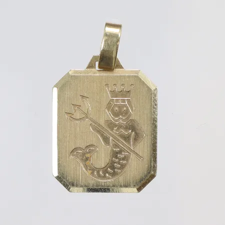 Hänge Vattumannen, 25x15mm, 14K Vikt: 2,2 g