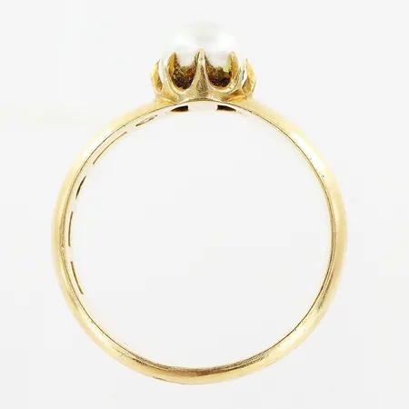 Bild av vara SE4.R502203