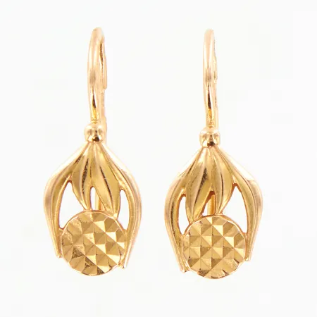 Ett par örhängen 23x9mm, krokfästen, 14K.  Vikt: 3,3 g