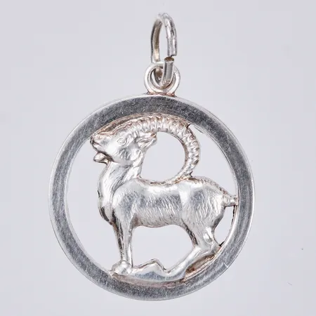 Hänge stjärntecken stenbocken längd: ca 2cm bredd: ca 15mm 835/1000 silver  Vikt: 1,2 g