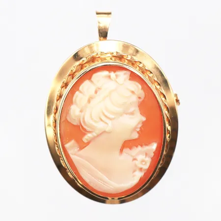 Brosch med Camé, längd 30,3mm, bredd 23,9mm, går att ha som hänge, 18K.