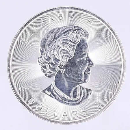 Mynt Kanada 5 dollar 2021 silver 999/1000 Vikt: 31,1 g