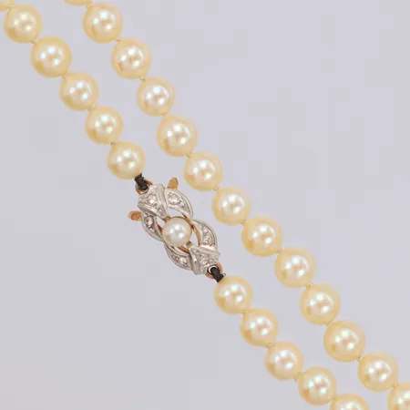 Collier med odlade saltvattenspärlor längd 39cm, bredd 6mm, lås i 18K bruttovikt 17,3g Vikt: 17,3 g