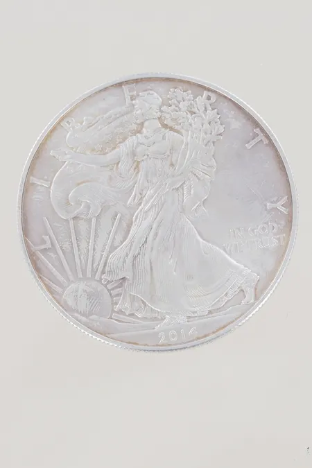 Mynt One Dollar 1OZ silver Vikt: 31,4 g