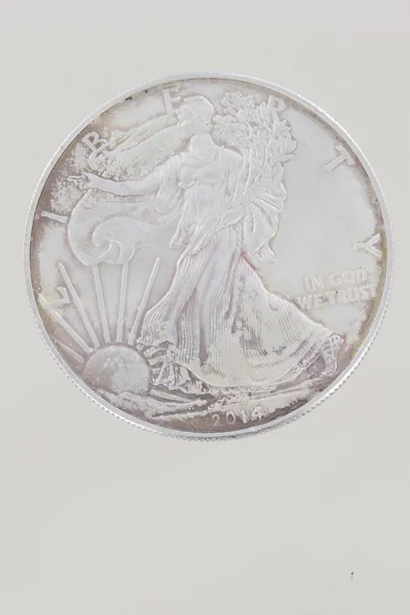 Mynt One Dollar 1OZ silver Vikt: 31,4 g