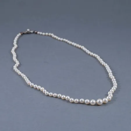 Doserat collier med odlade saltvattenspärlor Ø 3,4 6,9 mm. Längd 56 cm. Lås i silver. Vikt: 0 g