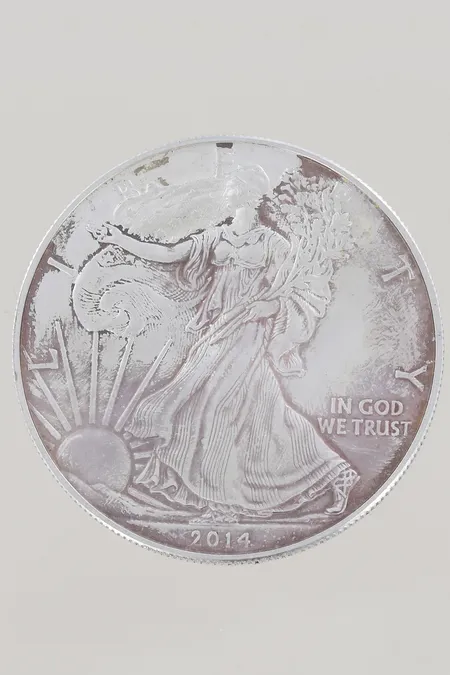 Mynt One Dollar 1OZ Fine Silver, 999/1000 Vikt: 31,5 g