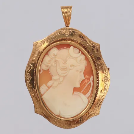Hänge/brosch kamé längd 48mm, bredd 33mm, 18K Vikt: 8 g