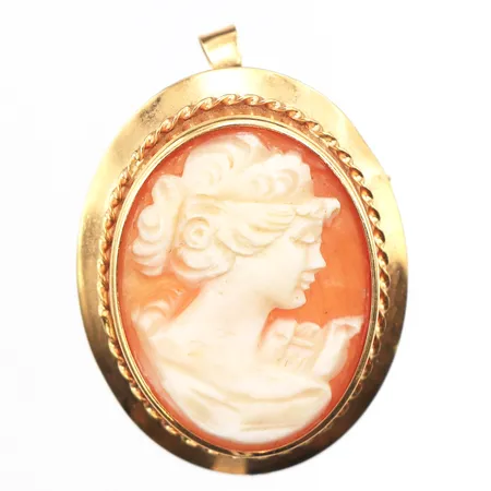 Brosch/hänge, snidad camé, 35x25mm, ramen i 18K Vikt: 4,5 g