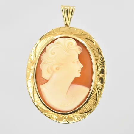 Hänge/brosch med kamé, längd 40mm, bredd 27mm, 18K. Vikt: 7,5 g