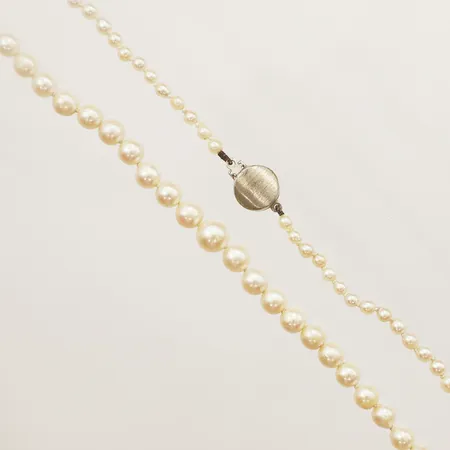 Pärlcollier med doserade odlade pärlor längd 51cm, Ø2,9-5,7mm i behov av omträdning lås i silver 925/1000 Vikt: 14,2 g