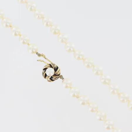Pärlcollier längd 45cm 57st odlade saltvattenpärlor Ø6,5mm, fin lyster, lås i förgyllt silver med odlad saltvattenpärla Ø5mm, 925/1000. Vikt: 0 g