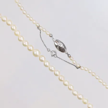 Collier med odlade saltvattenpärlor 49cm Ø3,2-7,1mm visst slitage, lås i silver JKa 925/1000 Vikt: 14,7 g