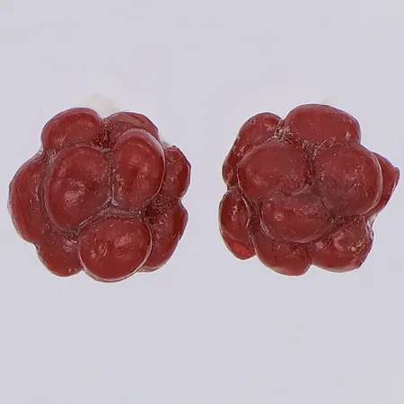 Örhängen Norrbottens landskapsblomma åkerbär 9mm, silver 925/1000 Vikt: 0,9 g
