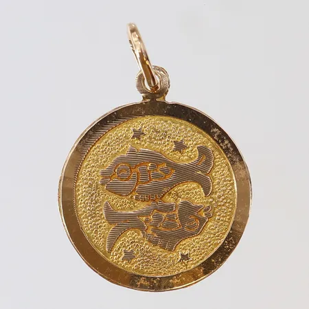 Hänge stjärntecken fiskarna längd 26mm bredd 18mm 14K Vikt: 1,2 g