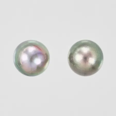Örhängen med färgade odlade saltvattenpärlor ca Ø7,5mm, saknar snurrebussar, 18K. Vikt: 1,6 g