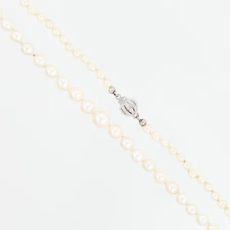 Pärlcollier med lås i silver 925/1000 62cm, bredd: 4-7mm Vikt: 0 g