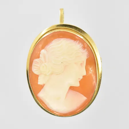 Hänge/brosch med kamé längd 34mm, bredd 22mm, 18K. Vikt: 4,5 g