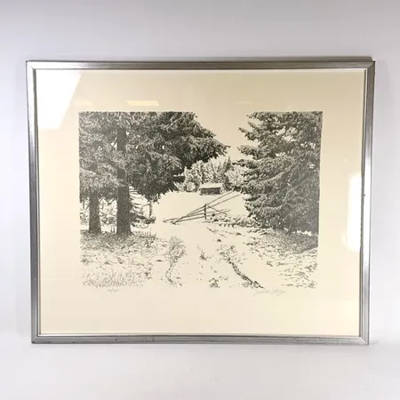 Litografi Jan-Owe Stappe, rammått 54x45cm, bildyta 39x28cm, nr 106/200, sliten ram Skickas med postpaket.
