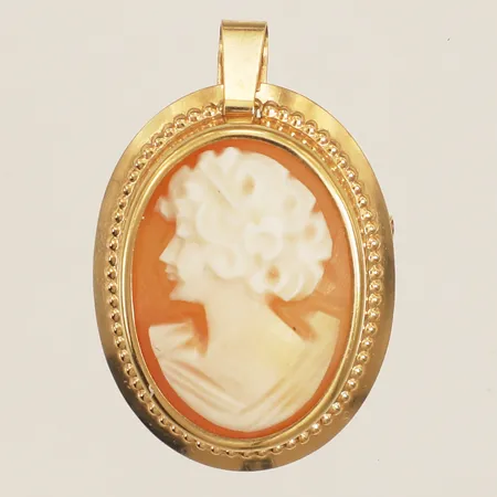 Hänge/brosch med kamé längd 25mm, bredd 16,7mm 18K Vikt: 2,1 g