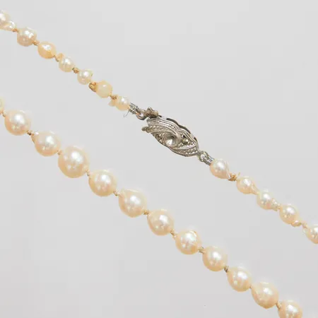Pärlcollier med odlade saltvatten pärlor, semibarocka, längd: 47,5cm, bredd: 4-6,5mm, behöver träs om, lås i silver, saknar pärla, silver 835/1000 bruttovikt 11,4g. 
