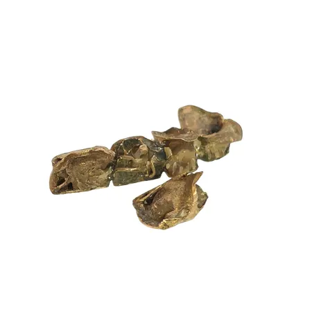 Guldtänder, cirka 18K, Vikt: 5,8 g