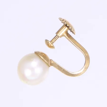 Udda örhänge med pärla 14K Bruttovikt: 3,9g Vikt: 3,9 g