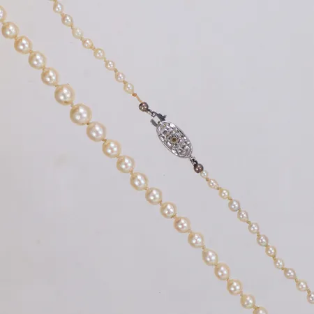 Collier med odlade saltvattenspärlor, längd 54cm, doserat, Ø3,2-6,9mm, lås vitguld 18K Vikt: 1,5 g