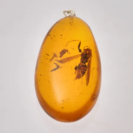 Hänge i Bärnsten med geting, mått 28x59mm.  Vikt: 14,7 g
