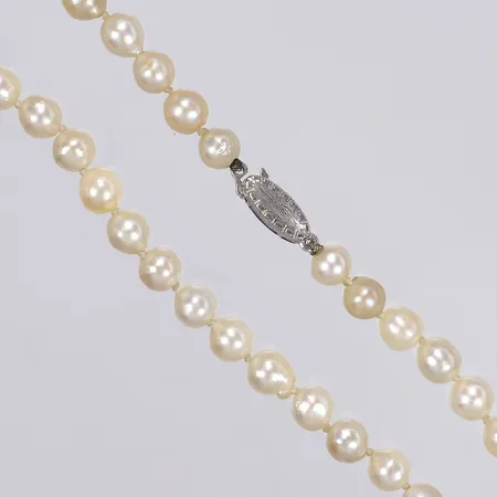 Pärlcollier med odlade pärlor och silverlås längd 41cm pärlornas Ø ca 5mm silver 925/1000 Vikt: 0 g