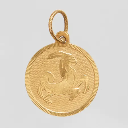 Hänge stjärntecken Stenbocken, längd inkl ögla 3cm, Ø19,5mm, 18K Vikt: 3,1 g