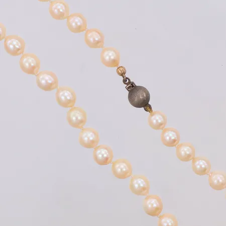 Pärlcollier odlade sötvattenpärlor Ø6,5mm längd ca 38cm, silverlås 925/1000