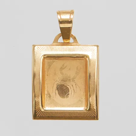 Hänge stjärntecken Kräfta, längd inkl ögla 2,5cm, bredd 1,5cm, 14K Vikt: 0,9 g