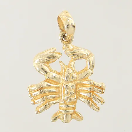 Hänge 25x17mm bucklig ögla 14K Vikt: 2,4 g