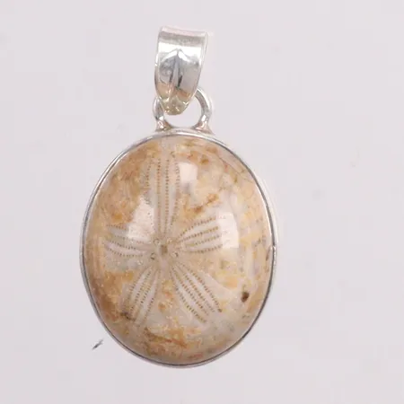 Hänge med sanddollar längd 3cm bredd 18,4mm silver 925/1000 Vikt: 6,1 g