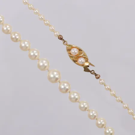 Collier doserad med odlade pärlor och guldlås längd: ca 53,5cm Ø ca 2-7mm 18K Vikt: 0 g