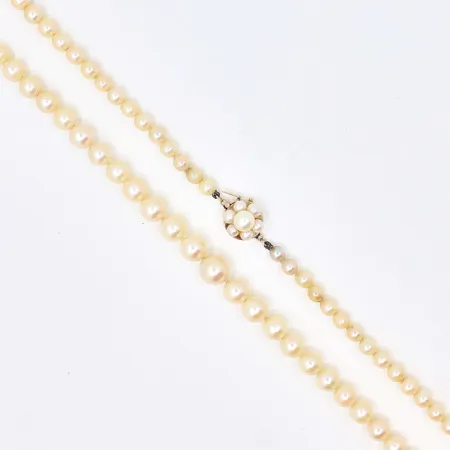 Pärlcollier doserat med odlade saltvattenspärlor Ø4-7,8mm, lås i 14K med pärlor, Bruttovikt: 18,9g Vikt: 0 g