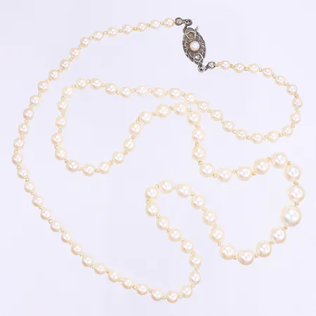 Pärlcollier 57,5cm bredd 4mm lås i silver 830/1000 Bruttovikt: 14,5g Vikt: 14,5 g