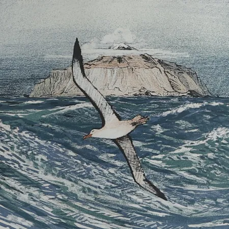 Litografi signerad Roland Svensson "Havsfågel" numrerad 115/310, bildmått 36 x 46cm, ramad Specialfrakt, kontakta pantbankskontoret för mer information.