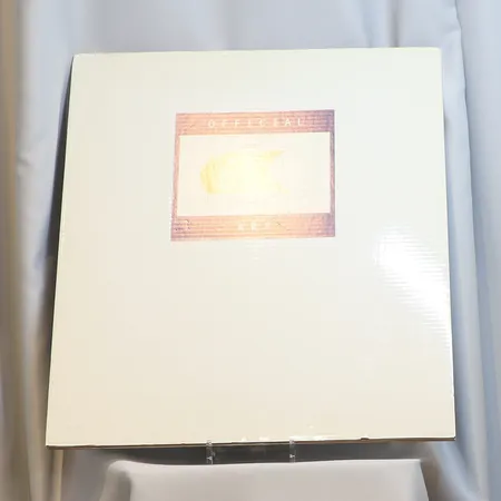 Konstmapp 5 Litografier för VM i Göteborg 1995 Ernst Billgren, Helene Billgren Roland Borén Håkan Carlsson, Graham Stacy oramat, Bladmått 40x50 cm, numrerade Skickas med postpaket.