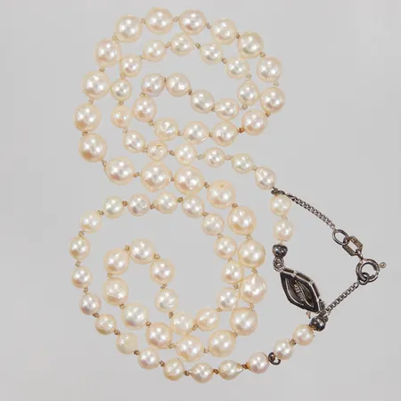 Bild av vara SE8.R1001462