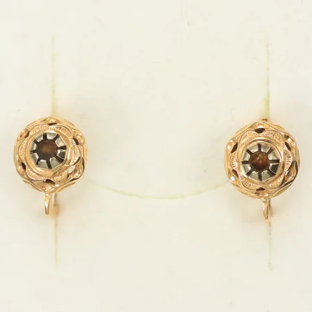 Örhängen med mörkröda stenar, 10 x 7mm, 18K, 1,9g Vikt: 1,9 g