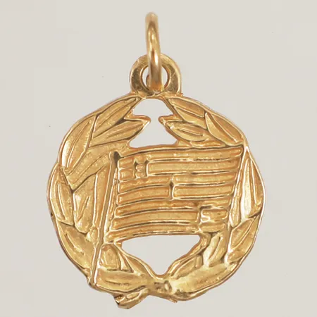 Hänge Hammarby, Ø16,5mm, 18K Vikt: 3,1 g