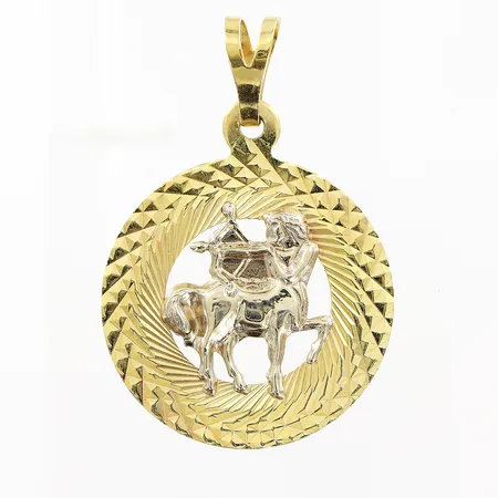 Hänge, stjärntecken skytten, 26x36mm, 14K Vikt: 2,6 g