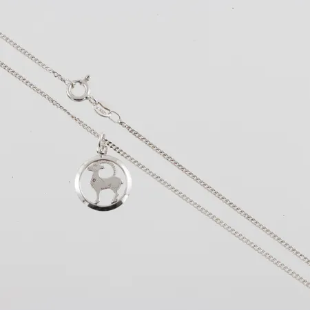 Halssmycke med horoskopbild, Pansar 42cm, silver Vikt: 2,9 g