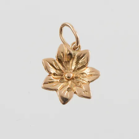 Bild av vara SE76.R25431